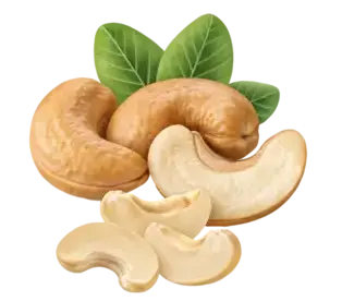 cashew nut