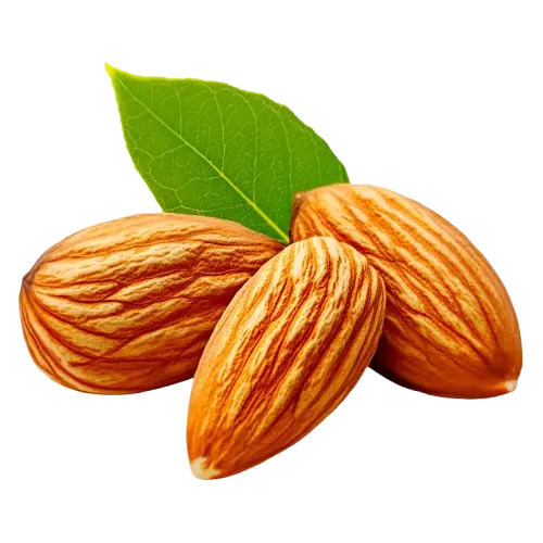 almond1